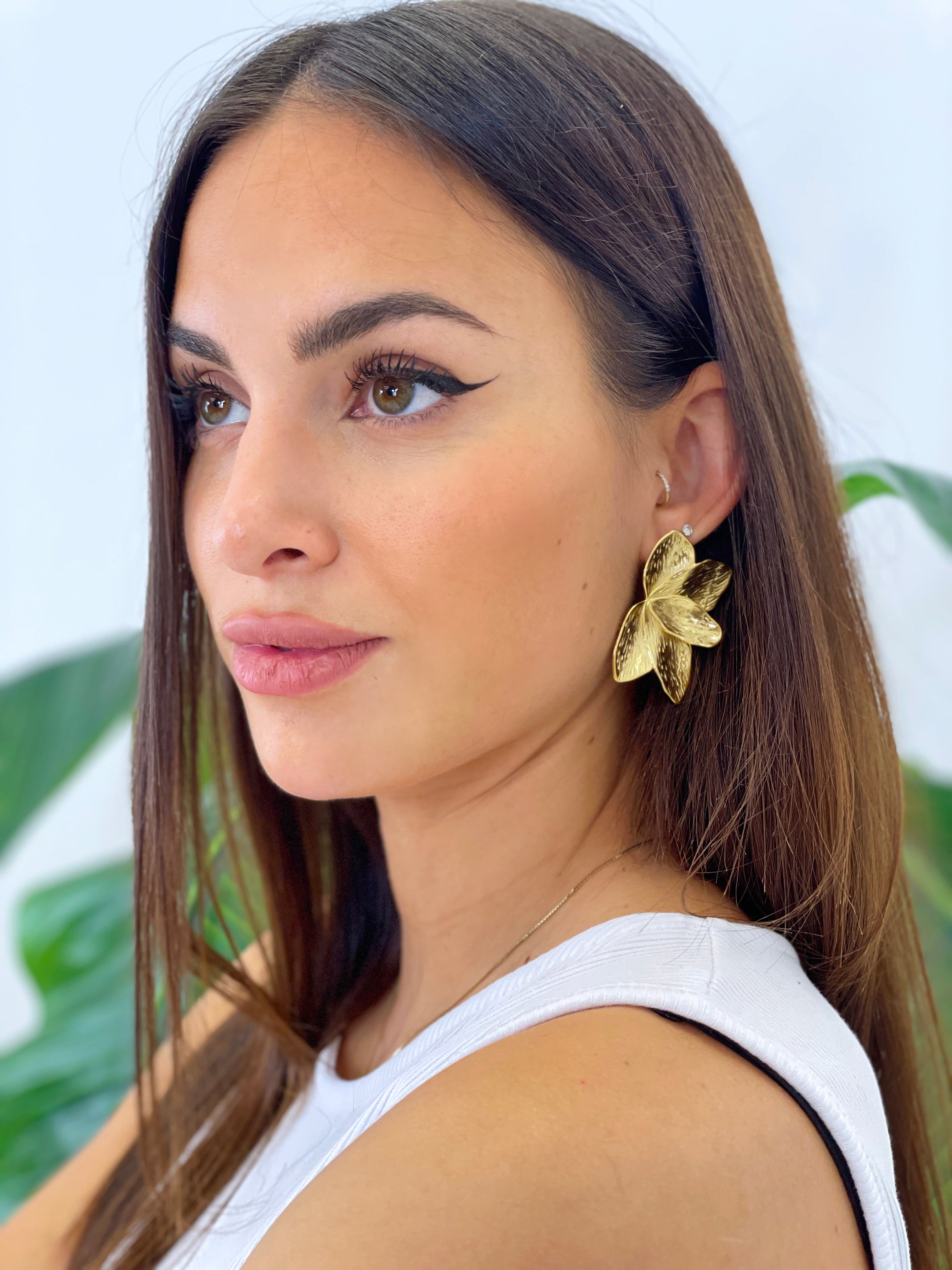 Luxury Earrings