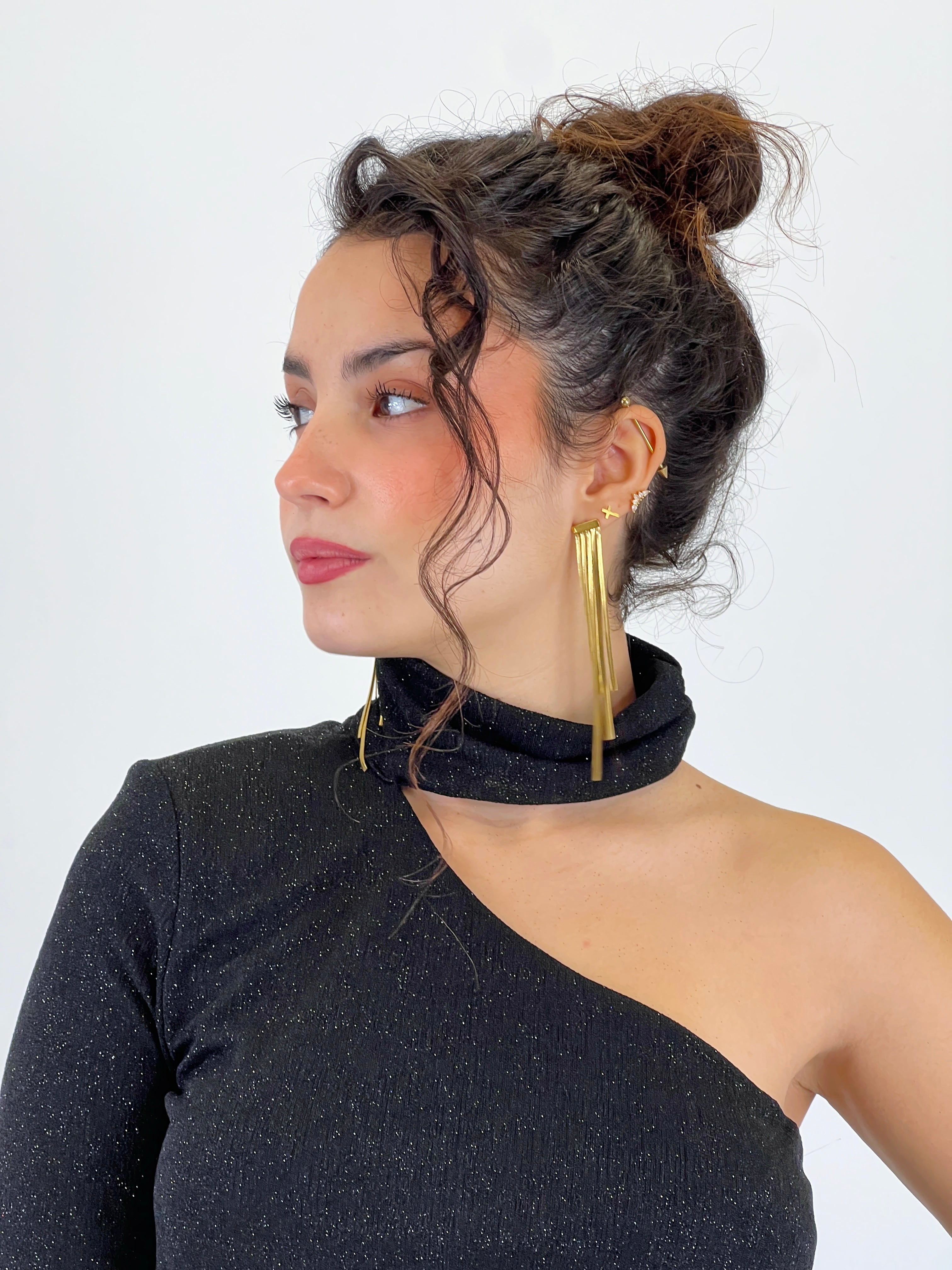 Luxury Earrings