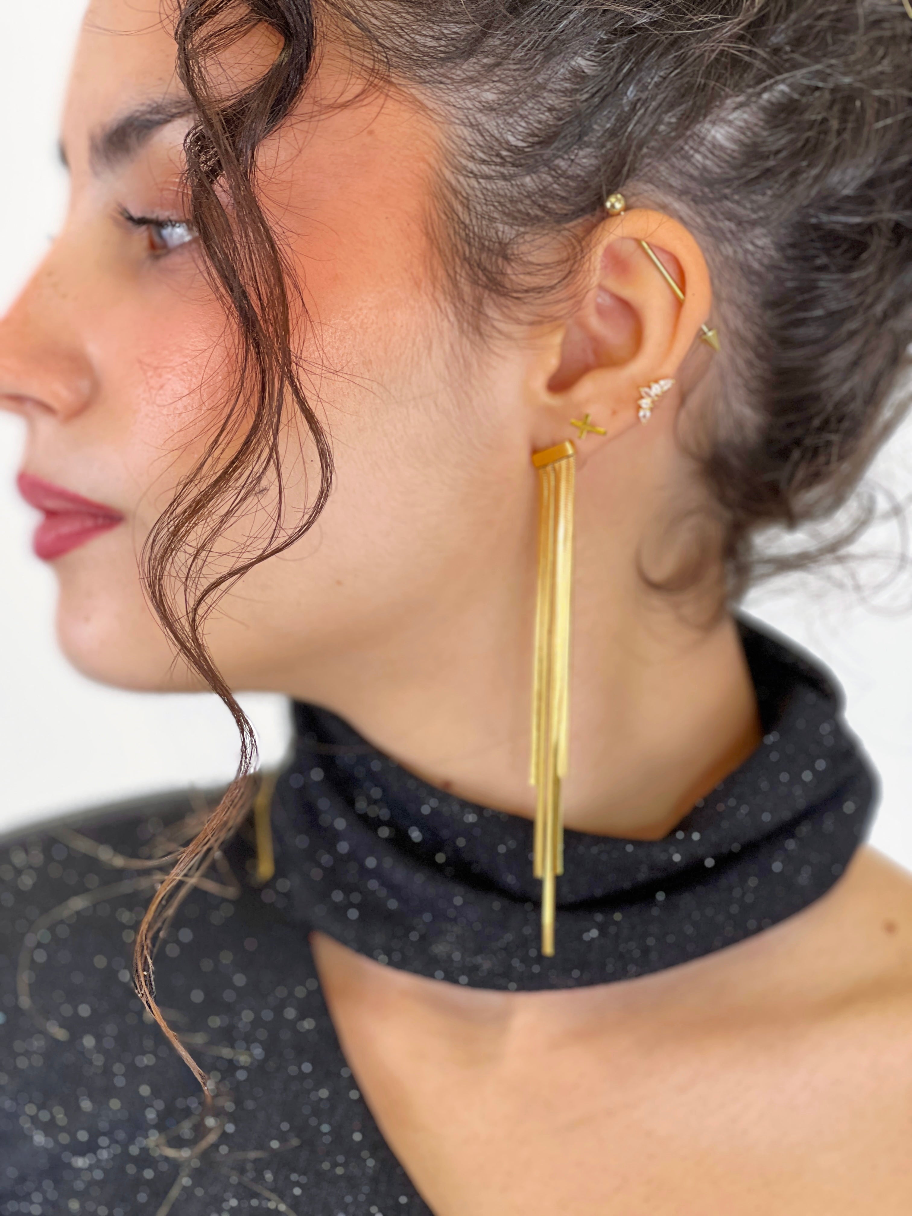 Luxury Earrings